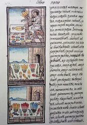 Federverarbeitung nach der spanischen Eroberung, Seite aus dem Florentiner Kodex, zweisprachige Version in Spanisch und Nahuatl, Allgemeine Geschichte der Dinge von Neuspanien, von Fray Bernardino de Sahagun