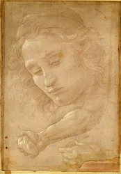 Kopf eines Jugendlichen, Zeichnung aus einer Seite des "Libro dei Desegni" von Georgio Vasari