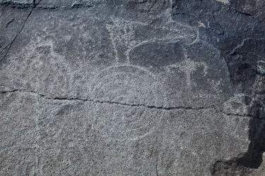 Indianische Petroglyphen - Tierdarstellungen und symbolische Darstellungen - Petroglyph National Monument - Albuquerque, New Mexico, USA (USA)