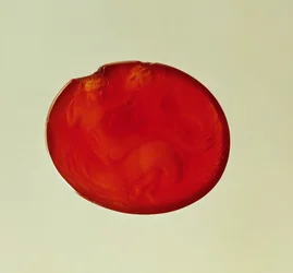 Intaglio von Triton mit einer Nereide