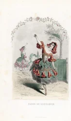 Die Granatapfelblütenfee tanzt - Radierung von Charles Geoffroy nach einer Illustration von Jean Ignace Isidore Gerard dit J.J.Granville für Les fleurs animées