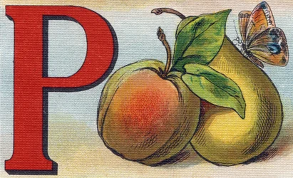 Buchstabe P als Pfirsich, Birne und Schmetterling