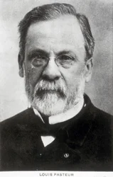 Louis Pasteur, französischer Chemiker und Mikrobiologe, ca. 1885