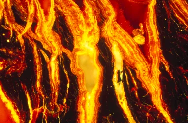 Metalle, Mineralien, Eisenhaltig, LM Eisenoxid