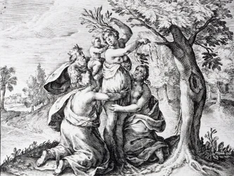 Mattei in Ovids Metamorphosen