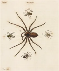 Mikroskopie
