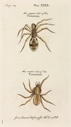 Mikroskopie