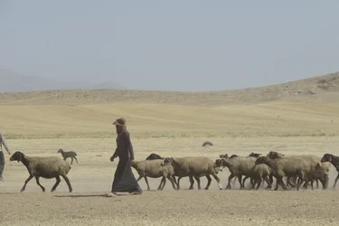 Nomadenzelte zwischen Tamar und Ashkhaneh, Iran 2022