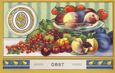O: Obst - Alphabet Palmin. Serie von Chromolithographien herausgegeben von H. Schlinck & Cie, Hamburg. Werbung für Palmin feinstes Kokosfett.