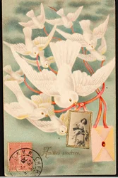 Alte Postkarte/Herzliche Grüße/Taube