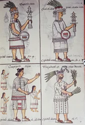 Tzapotlatena, Chalchiuhtlatonal, Cioapipitli und Tliltecuhtli, Florentiner Kodex, zweisprachige Version in Spanisch und Nahuatl, Allgemeine Geschichte der Dinge von Neuspanien