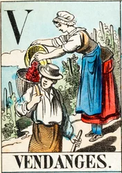 V Vendanges - „Alphabet des Bauernhofs“ Ende des 19. Jahrhunderts (Gravur)