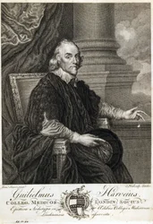 William Harvey, englischer Arzt