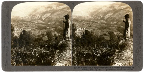 Eine Seidenraupenplantage in den Libanonbergen, Syrien, 1900er Jahre