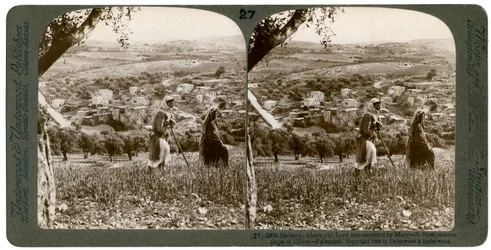 Bethanien, gesehen vom östlichen Hang des Ölbergs, Palästina, 1899