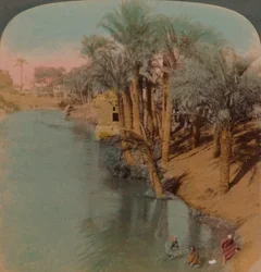 Im Fayum, der reichsten Oase Ägyptens am Bahr Yussef Fluss Joseph, zum Nil, 1902. Künstler: Elmer Underwood, Bert Elias Underwood