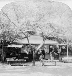 Im Herzen des Blumenreichs, Nara, Japan, 1896