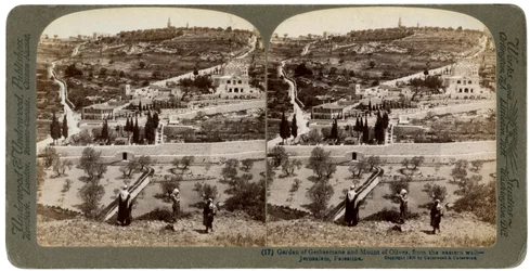 Der Garten Gethsemane und der Ölberg, Palästina