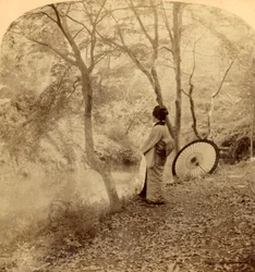 Die goldenen Tage des Herbstes in Japan, 1896
