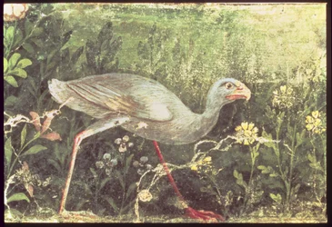 Wandmalerei eines Sultan-Huhns in einem Garten, Pompeji, 1. Jahrhundert n. Chr.
