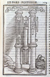 Ein Phagotus (Phagotum). Seite aus Introductio von Theseus Ambrosius Albonesius