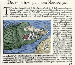 Ein Meeresmonster schlägt einen Schwimmer in der Nähe der Küste Norwegens. Gravur von Olaus Magnus (1490 - 1557), schwedischer Geistlicher und Geograph, „Historia de Gentis Septentrionalibus“, Venedig