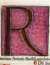 Alphabet: miniaturisierter Buchstabe R