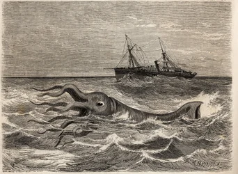 Ein 18-Fuß-Riesentintenfisch (oder Kalmar), gesehen im Ozean vierzig Meilen von Teneriffa (Spanien) entfernt, von der Besatzung der Alecton, einem Dampfschiff unter dem Kommando des Erzählers. Gravur zur Illustration der Reise nach Französisch-Guayana 1862