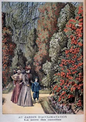 Im Jardin d