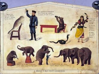 Zirkus: eine Tafel, die verschiedene Arten von Vorführungen gelehrter Tiere zeigt, darunter Robben, Elefanten, Bären, Schlangen. Illustration des 19. Jahrhunderts