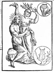 Daphne, verfolgt von Apollo, wird in Lorbeer verwandelt - Gravur in Natalis Comitis „Mythologiae sive explicationis fabularum...“