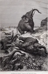 Elefanten erklimmen das Ufer eines Flusses, Bericht einer Expedition nach Zentralafrika im Auftrag von Sir Samuel White Baker, „Tour du monde“