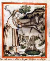 Esa weidet Esel - der Pentateuch. Miniatur aus Codex 212 (oder Padovano Codice oder Bibel von Padua) 1390-1400 Rovigo, Accademia dei Concordi