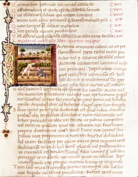 Bauern pflanzen Weinberge