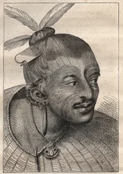 Erste Reise (1768-1771) von Kapitän James Cook (1728-1779): tätowierter Kopf eines Neuseeländers - Illustration aus „Die großen Seefahrer des 18. Jahrhunderts“