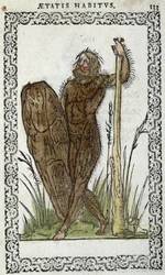 Homme sauvage - in Habits et effigies von Jean Sluperius