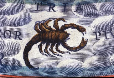 Horoskop: Sternzeichen Skorpion