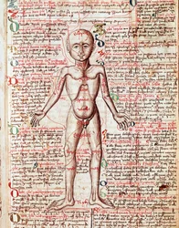 Menschlicher Körper. Gravur aus „Tractatus de pestilentia“ 15. Jahrhundert - Prag, Nationalbibliothek