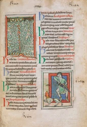 Illuminierte Miniaturen der Pflanze Raute (Ruta), die für verschiedene Beschwerden verwendet werden kann, einschließlich Augenschmerzen, Vergesslichkeit und Lethargie; und unten ein Mann, der ein Schwert zieht, um sich gegen einen rotgesichtigen tollwütige