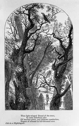 Illustration für „Ode an eine Nachtigall“ von dem Dichter John Keats (1795-1821) 19. Jahrhundert