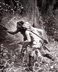 In den Kautschukfeldern (Hevea) im Dschungel von Guyana
