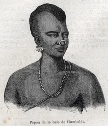 Eingeborene von Neuguinea: Papua von der Humboldt-Bucht. Gravur in „L