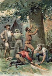 John McDouall Stuart (1815-1866): Schottischer Entdecker, markiert nach der Durchquerung Australiens im Jahr 1862 den Ort seines letzten Zufluchtsortes an einem Baum