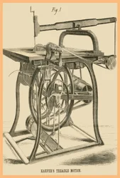 Kaefers Tretbewegung