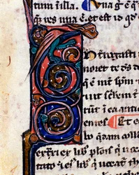 Verzierte Lettrine eines gotischen Monsters, das an Wasserspeier erinnert. Detail eines Manuskripts aus dem 14. Jahrhundert