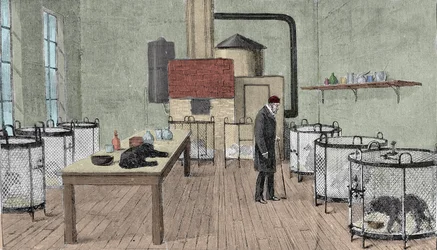 Louis Pasteur (1822-1895), französischer Chemiker und Physiker in seinem Labor in Paris.