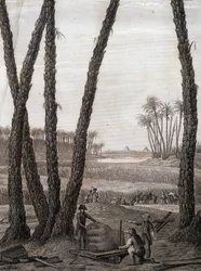 Memphis, Ansicht der Ruinen - in „Beschreibung von Ägypten“, Kaiserliche Ausgaben