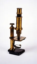 Mikroskop. 19. Jahrhundert