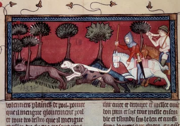 Miniatur-Fuchsjagd aus dem Manuskript fr. 1297 „Buch von König Modus und Königin Ratio“ von Henri de Ferrieres (14. Jahrhundert)