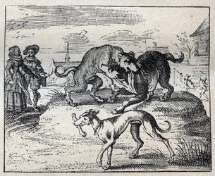 Altes englisches Sprichwort: Zwei Hunde streiten um einen Knochen, und der dritte nimmt ihn weg